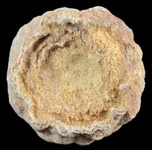Flower-Like Sandstone Concretion - Pseudo Stromatolite #62223